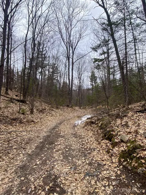 tbd County Rd Cu, Ishpeming, MI 49849 photo 15