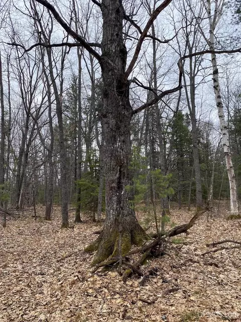 tbd County Rd Cu, Ishpeming, MI 49849 photo 11