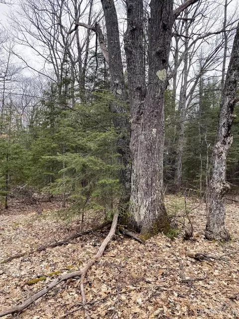 tbd County Rd Cu, Ishpeming, MI 49849 photo 13