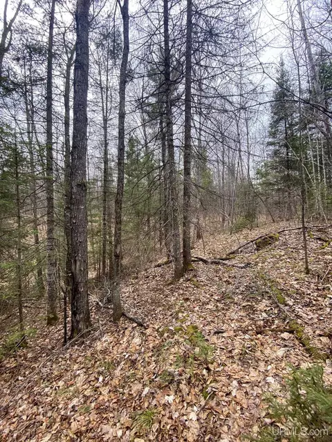 tbd County Rd Cu, Ishpeming, MI 49849 photo 20