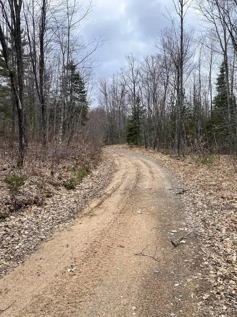 tbd County Rd Cu, Ishpeming, MI 49849 photo 19