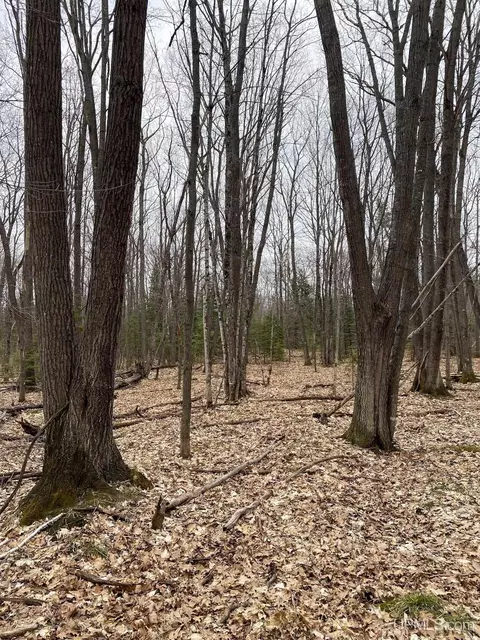 tbd County Rd Cu, Ishpeming, MI 49849 photo 9