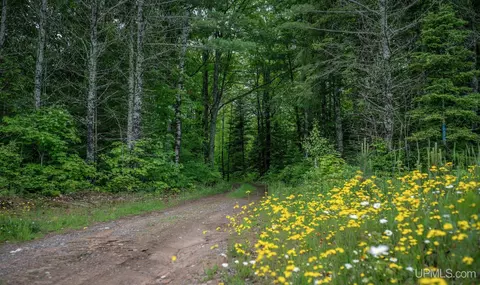 tbd County Rd Cu, Ishpeming, MI 49849 photo 4