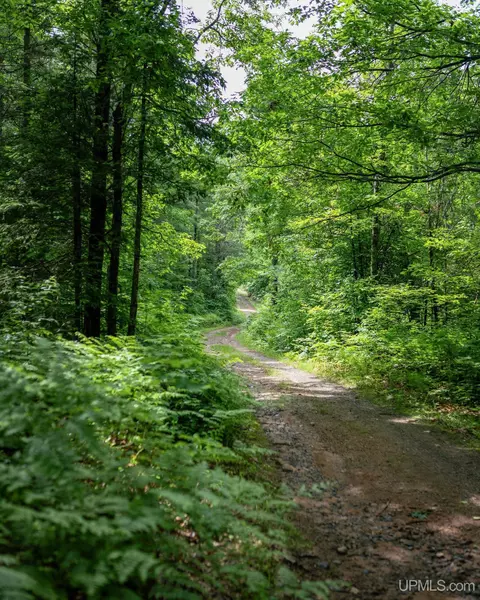 tbd County Rd Cu, Ishpeming, MI 49849 photo 3