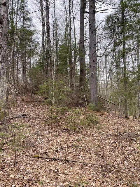 tbd County Rd Cu, Ishpeming, MI 49849 photo 22