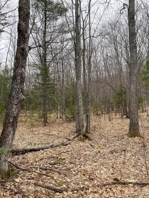 tbd County Rd Cu, Ishpeming, MI 49849 photo 8
