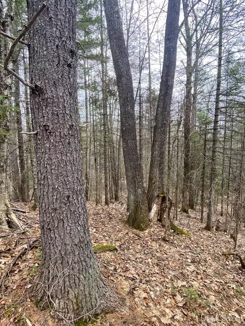 tbd County Rd Cu, Ishpeming, MI 49849 photo 21