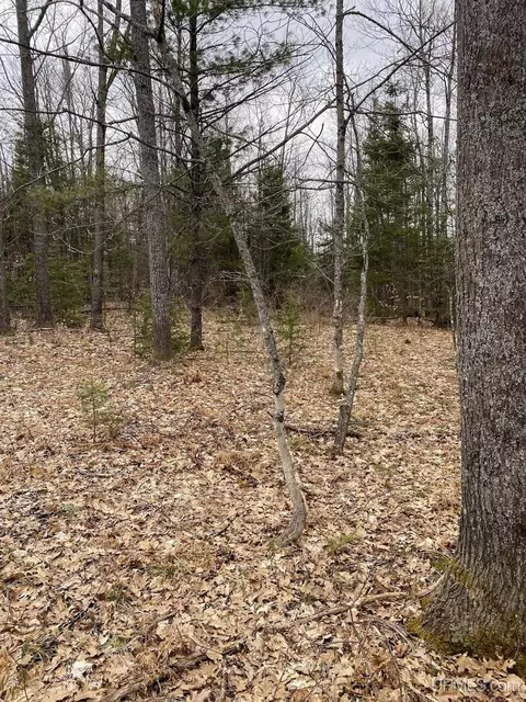 tbd County Rd Cu, Ishpeming, MI 49849 photo 23