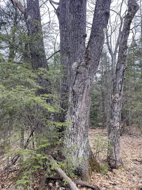 tbd County Rd Cu, Ishpeming, MI 49849 photo 14