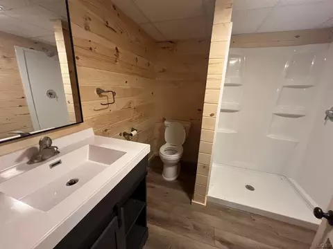 405 Oak, Britton, MI 49229 photo 3