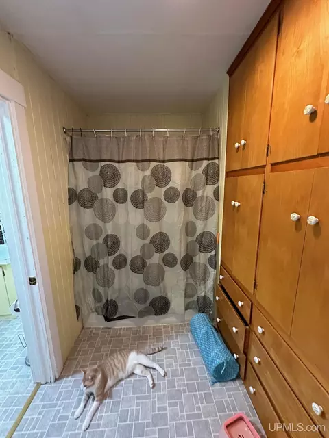 Bath - 608 N Main, Ishpeming, MI 49849 photo 6 of 6
