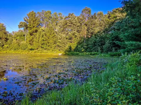 View/Area - 522 Water, Harrison, MI 48625 photo 11 of 31