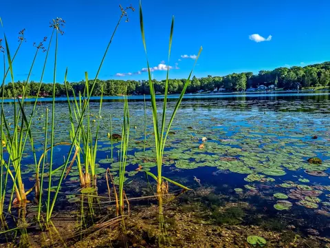 View/Area - 522 Water, Harrison, MI 48625 photo 7 of 31