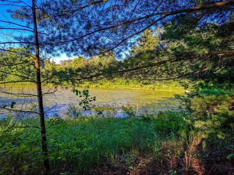 View/Area - 522 Water, Harrison, MI 48625 photo 9 of 31