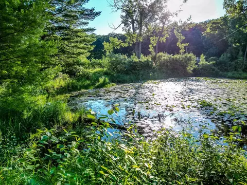 View/Area - 522 Water, Harrison, MI 48625 photo 29 of 31