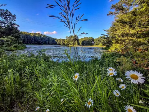 View/Area - 522 Water, Harrison, MI 48625 photo 16 of 31