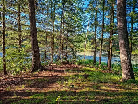 View/Area - 522 Water, Harrison, MI 48625 photo 8 of 31
