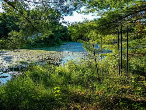 View/Area - 522 Water, Harrison, MI 48625 photo 26 of 31