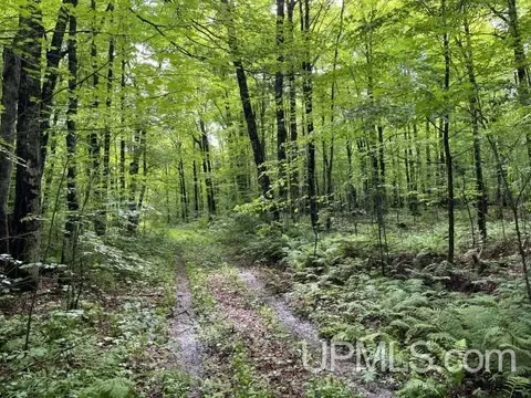 40 Acres New Dnr, Crystal Falls, MI 49920