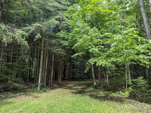 tbd Bond Fls, Bruce Crossing, MI 49912