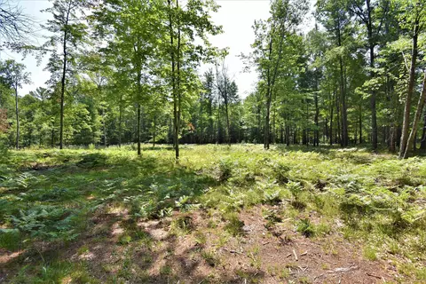 N Forest Lake, Alger, MI 48610