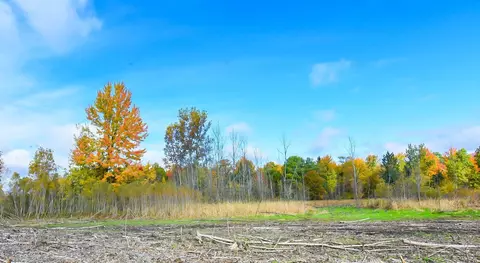 17160 Geddes, Hemlock, MI 48626