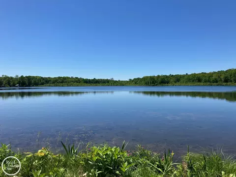 16501 Birchwood, Leroy, MI 49655