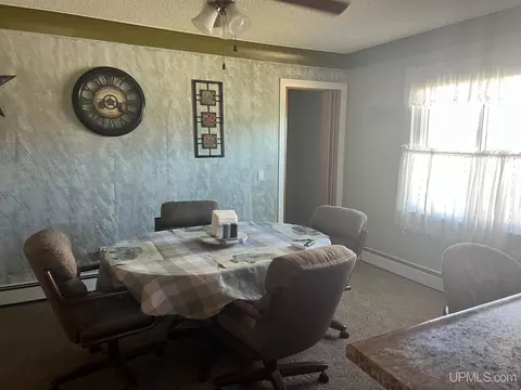 310 Birch, Munising, MI 49862 photo 5