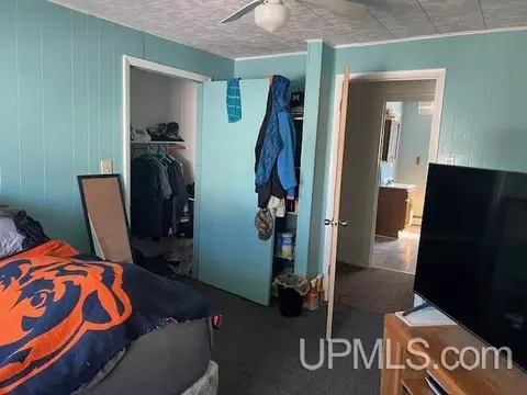 310 Birch, Munising, MI 49862 photo 20