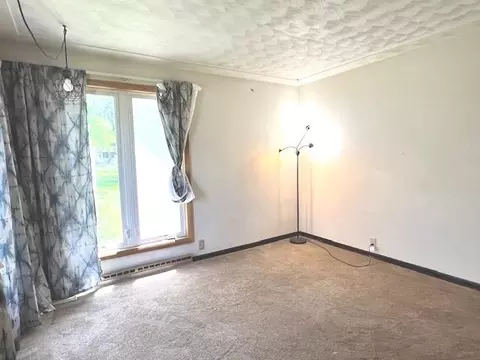108 E Park, Harrison, MI 48625 photo 17