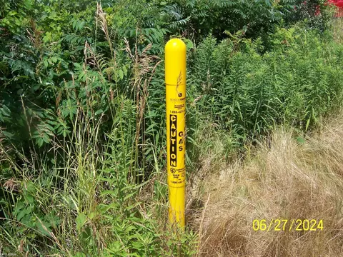 00 Lambs Rd, Memphis, MI 48041 photo 3