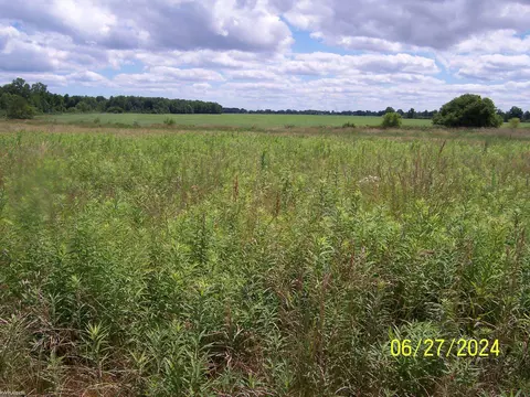 00 Lambs Rd, Memphis, MI 48041 photo 4