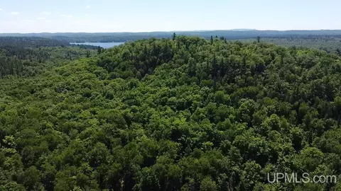 1156 Willow Crk, Ishpeming, MI 49849 photo 10