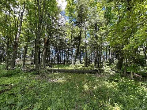 6047 Lake Shr, Wakefield, MI 49968