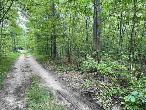 11 25 Acre Sherwood, Harrison, MI 48625