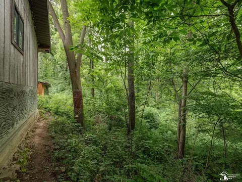 2489 Saline Riv, Dundee, MI 48131 photo 40