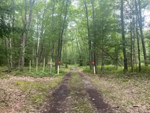 W Ausable Point, Oscoda, MI 48750