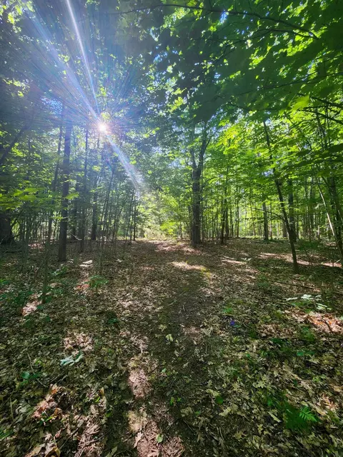 11 90 Acres Vacant Land Oakridge, Beaverton, MI 48612