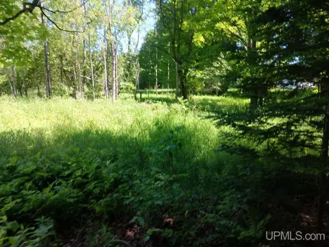 tbd Negilski, Munising, MI 49862