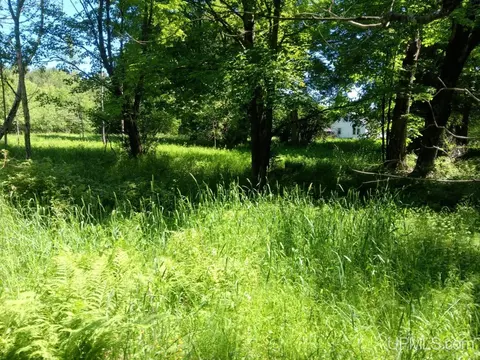 tbd Negilski, Munising, MI 49862 photo 2