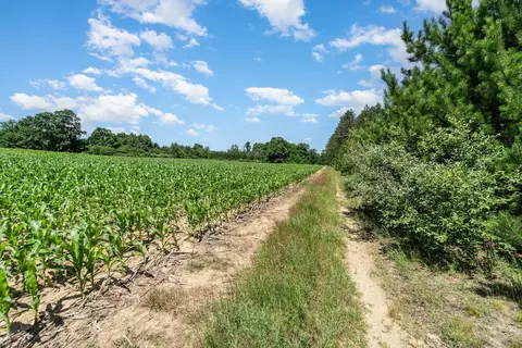 Other - 5200 W M-18, Gladwin, MI 48624 photo 9 of 10