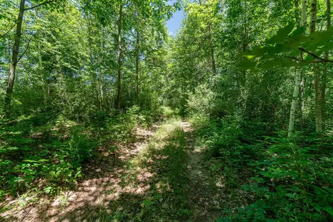 Exterior - 5200 W M-18, Gladwin, MI 48624 photo 9 of 12