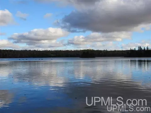 lot39 N Fence Lk, Michigamme, MI 49861