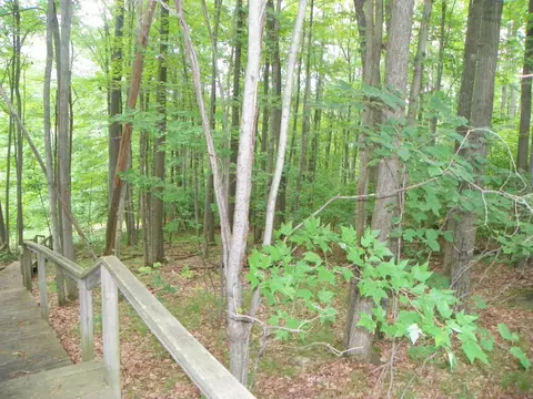 3771 Lapham, Harrison, MI 48625 photo 20