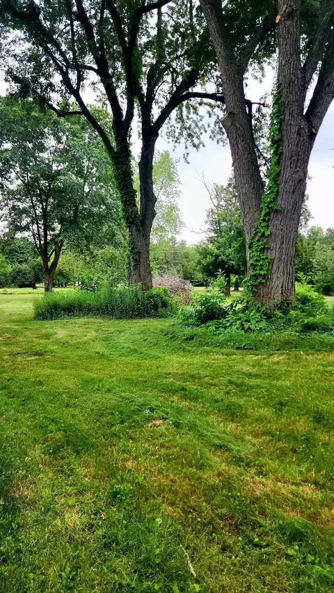 Exterior - 7395 Johnson, Flushing, MI 48433 photo 10 of 10