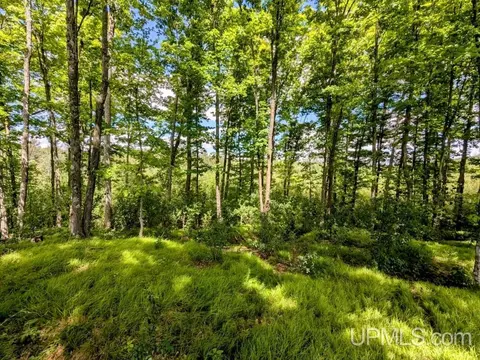 99 Acres Cty Rd 424, Alpha, MI 49902 photo 26