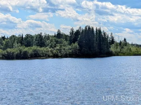 99 Acres Cty Rd 424, Alpha, MI 49902 photo 10