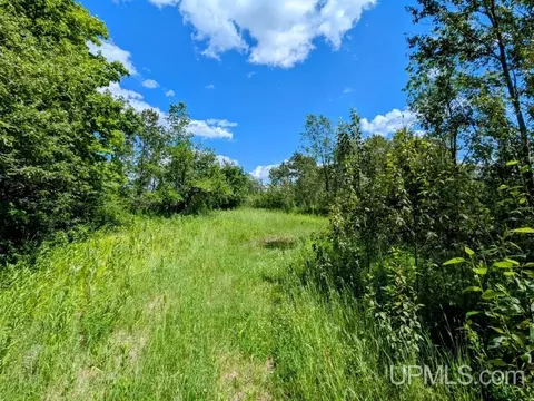 99 Acres Cty Rd 424, Alpha, MI 49902 photo 8