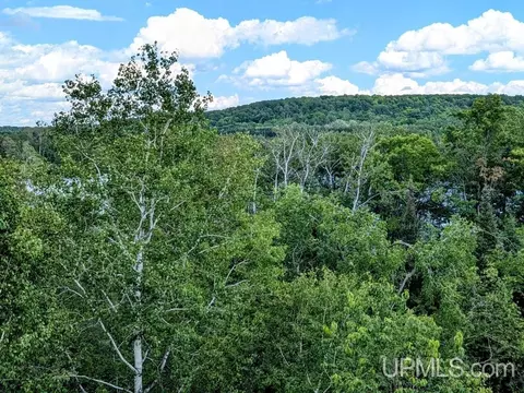 99 Acres Cty Rd 424, Alpha, MI 49902 photo 3