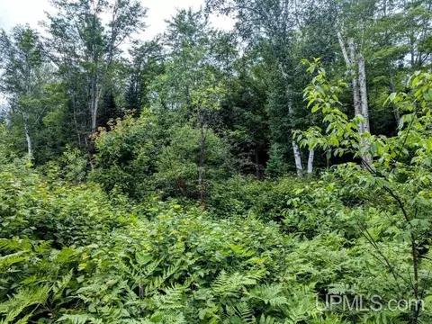 99 Acres Cty Rd 424, Alpha, MI 49902 photo 21